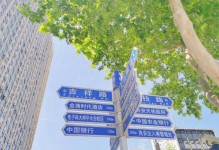 猿辅导（解放学习，开启智慧未来）