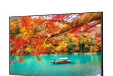 27寸NEC显示器（解析NEC27寸显示器的画质、功能和用户体验）