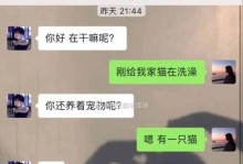 阿怡的现状与发展（重返起点，蓄势待发）