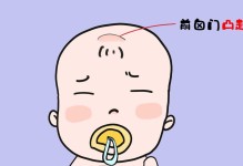 脑部受伤导致智力下降（揭秘脑损伤对智力的影响与恢复）