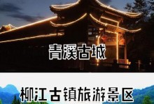 城市门户的发展与影响力（以城市门户为主题的综合报道及分析）