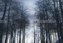 深山老林电脑店6.5安装教程（详细教你如何在深山老林电脑店安装6.5版本）