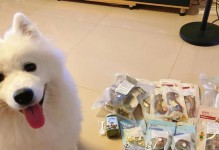 狗喝了可乐后会发生什么？（了解狗喝可乐的危害与应对方法）