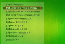 戴尔大白菜装系统教程（轻松搞定戴尔大白菜装系统，提升电脑性能，解决常见问题）