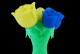 3D打印玫瑰花的魅力（用科技赋予爱的永恒）