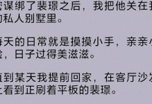 友迪斯摸摸锁的安全性能及使用体验（一把让你放心的智能门锁）