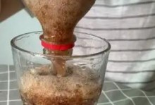 可乐速冻的效果及影响（探究可乐速冻的科学原理及食用后的体内反应）